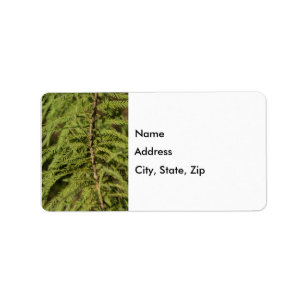 Bald Cypress Branch Label