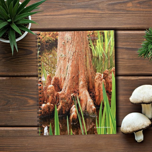 Bald Cypress Knees Notebook (Bald Cypress Knees in the Water Journal Cover Photo)
