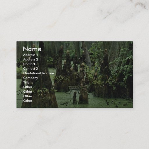 Customizable Bald cypress knees rising from swamp water business card template