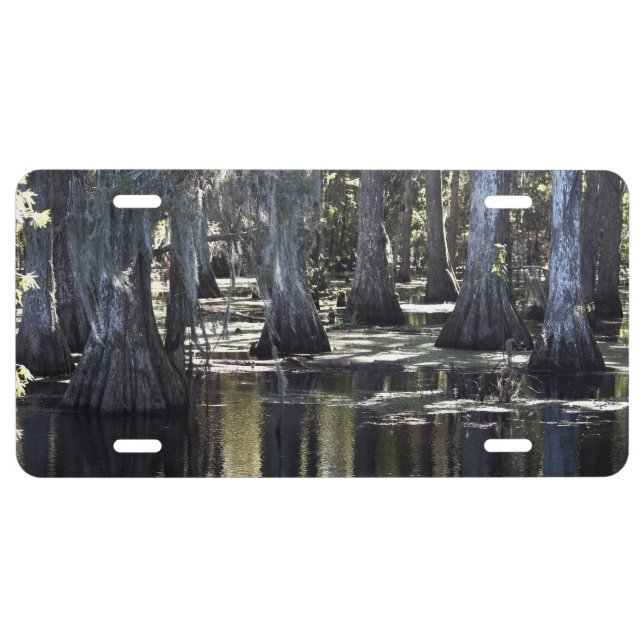Bald Cypress License Plate (Front)