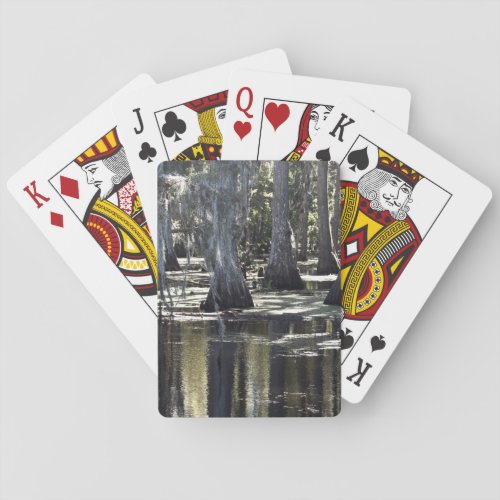 Bald Cypress Playing Cards