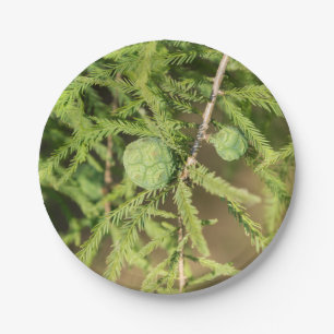 Bald Cypress Seed Cone Paper Plates