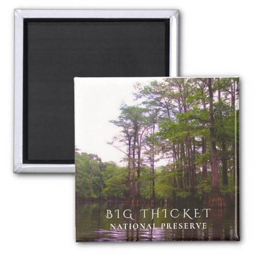 Bald Cypress Swamp Big Thicket National Preserve Magnet