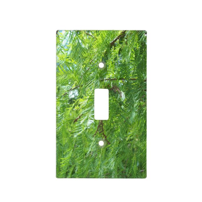 Bald Cypress Tree Foliage Light Switch Cover (Front)
