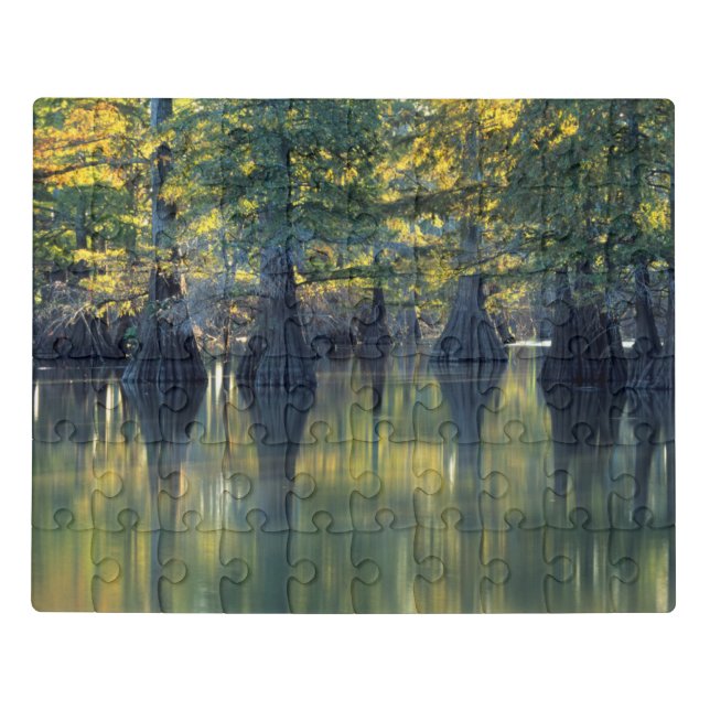 Bald Cypress Trees | Horseshoe Lake Illinois Jigsaw Puzzle (Puzzle Horizontal)