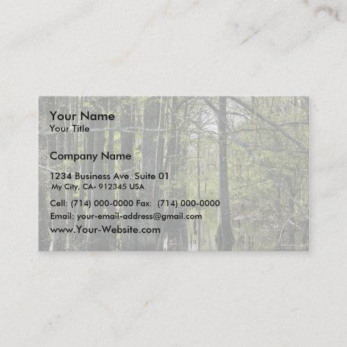 Bald cypress trees in swamp business card