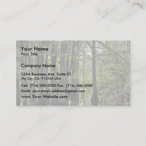 Customizable Bald cypress trees in swamp business card