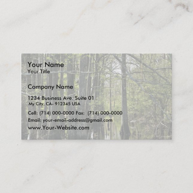 Bald cypress trees in swamp business card (Front)