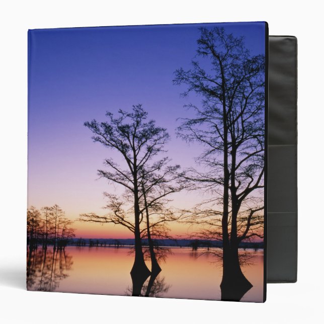 Bald cypress trees silhouetted at sunset, 3 ring binder (Front/Inside)