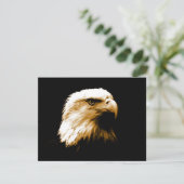Bald Eagle (Standing Front)