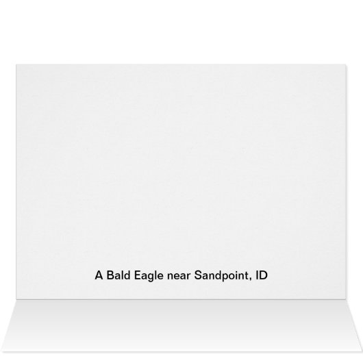 Bald Eagle (Inside Horizontal (Top))