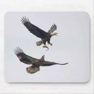 Bald Eagle 11 Mousepad