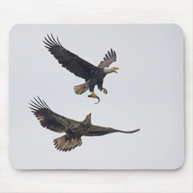 Bald Eagle 11 Mousepad (Front)