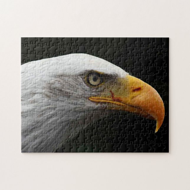 Bald Eagle 11x14 252pc jpcnm Jigsaw Puzzle (Horizontal)