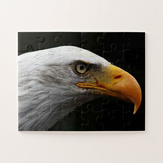 Bald Eagle 11x14 30pc jpm Jigsaw Puzzle (Horizontal)