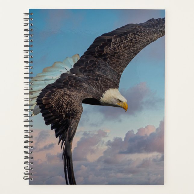 Bald Eagle 2026 Planner | Majestic American Wild (Front)