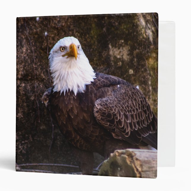 Bald Eagle 3 Ring Binder (Front/Inside)