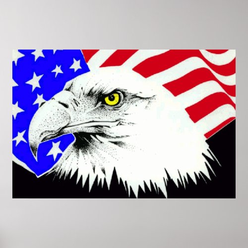 Bald Eagle 4th Of July Poster 1