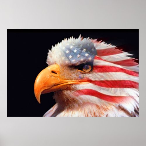 Bald Eagle 4th Of July poster 13