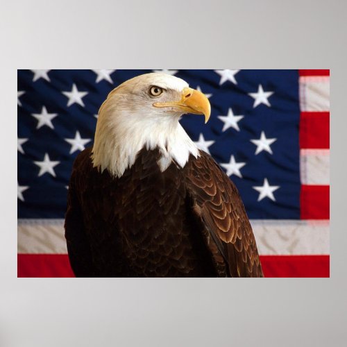 Bald Eagle 4th Of July poster 14