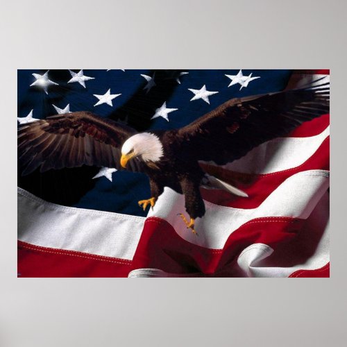 Bald Eagle 4th Of July poster 15