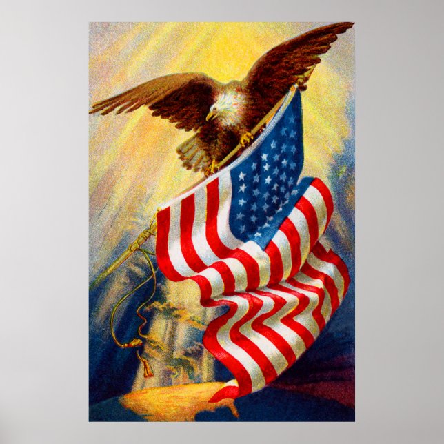 Bald Eagle 4th Of July poster 2 (Front)