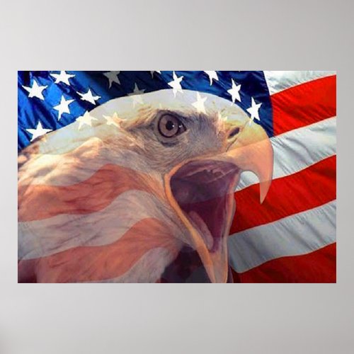 Bald Eagle 4th Of July poster 4