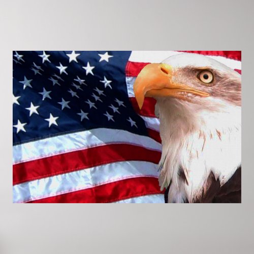 Bald Eagle 4th Of July poster 8