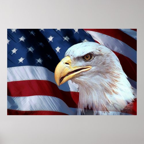 Bald Eagle 4th Of July poster 9