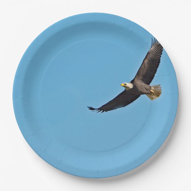 Bald Eagle 7 Paper Plates (Front)