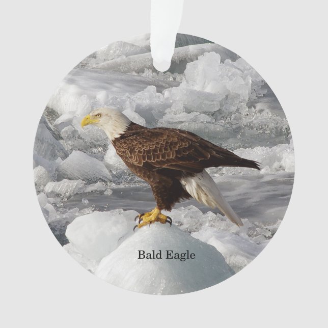 Bald Eagle acrylic ornamet Ornament (Front)