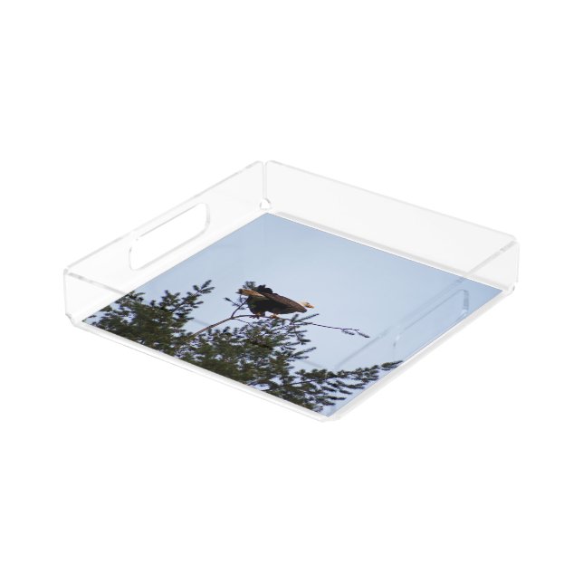 Bald Eagle Acrylic Tray (Angled)