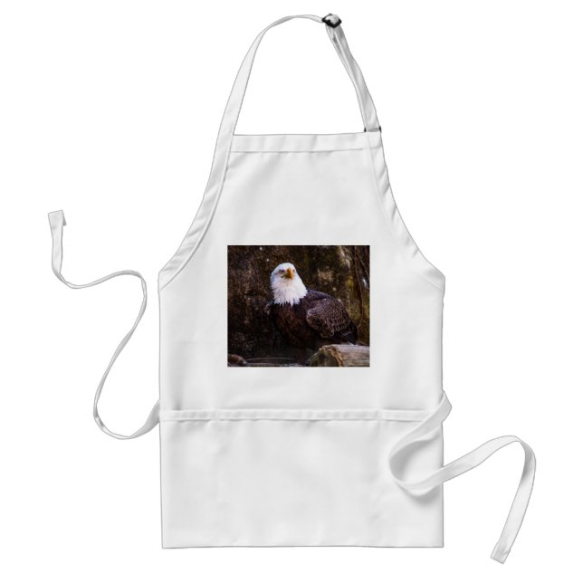 Bald Eagle Adult Apron (Front)