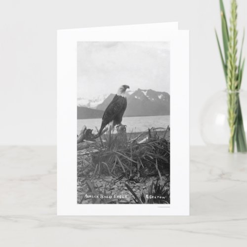 Bald Eagle Alaska 1920 Card