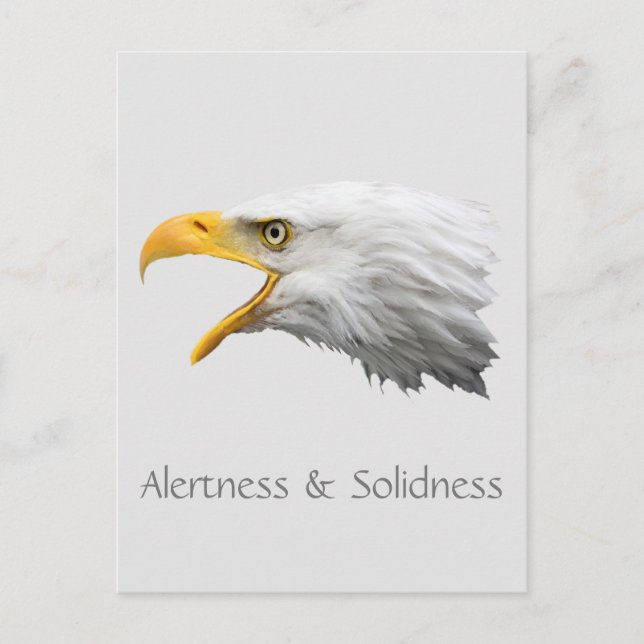 Bald Eagle Alertness & Solidness customizable Postcard (Front)