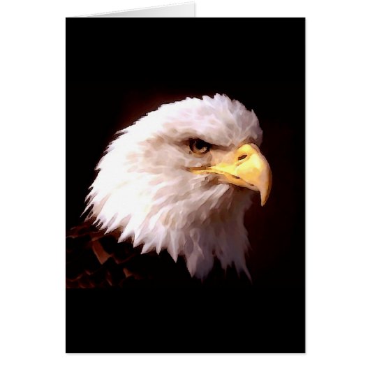 Bald Eagle American Eagle Cards (Front)
