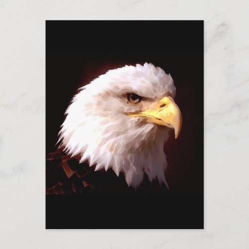 Bald Eagle American Eagle Postcard