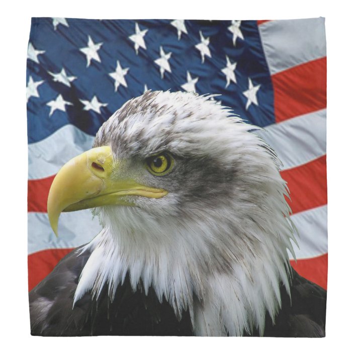 Usa Flag Bald Eagle American Flag Art Board Print By Jiigee Redbubble