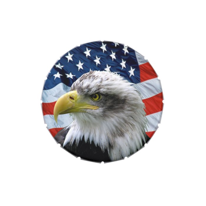 Bald Eagle American Flag Candy Tin