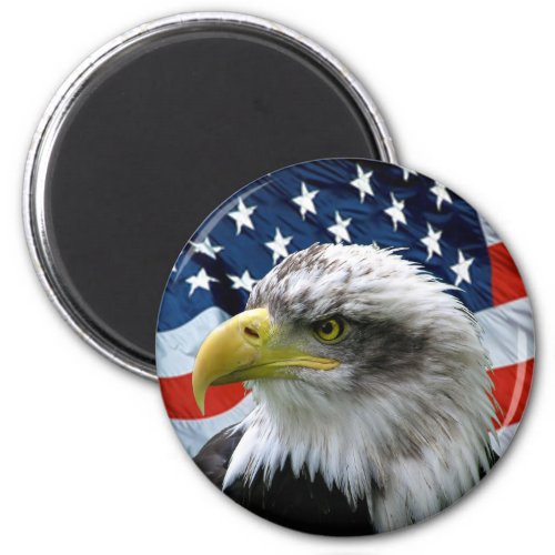 Bald_Eagle_American_Flag Magnet