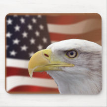 Bald Eagle & American Flag