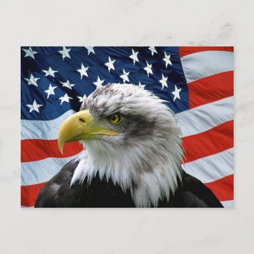 Bald Eagle American Flag Postcard