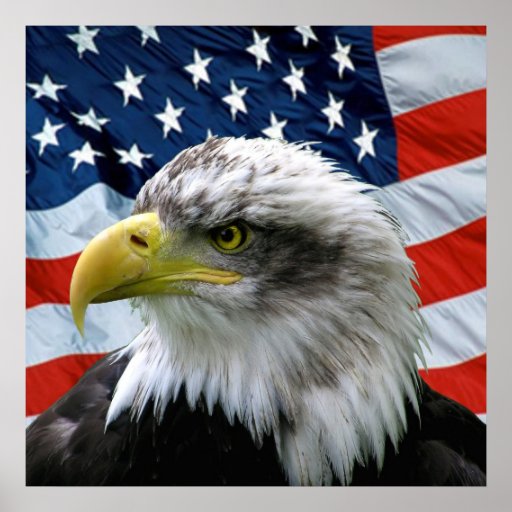 Bald Eagle American Flag Print | Zazzle