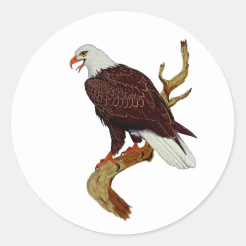 Bald Eagle American National Symbol Pride Strength Classic Round Sticker