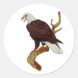 Bald Eagle American National Symbol Pride Strength Classic Round Sticker
