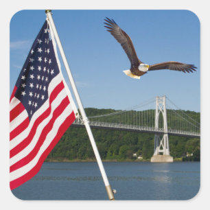 Bald Eagle (American Pride) Square Sticker
