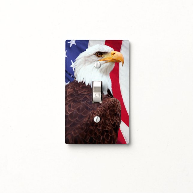 Bald Eagle and American Flag Light Switch Cover (In Situ)