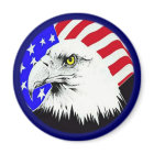 Bald Eagle and American Flag