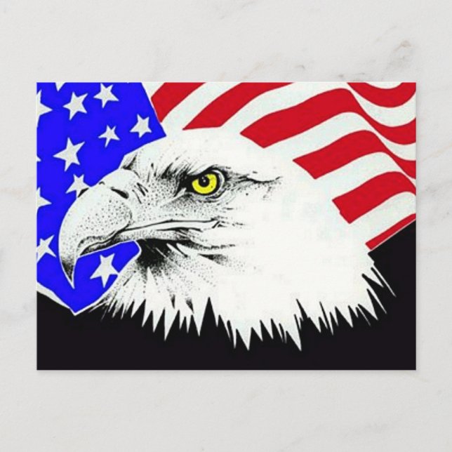 Bald Eagle and American Flag Postcard (Front)