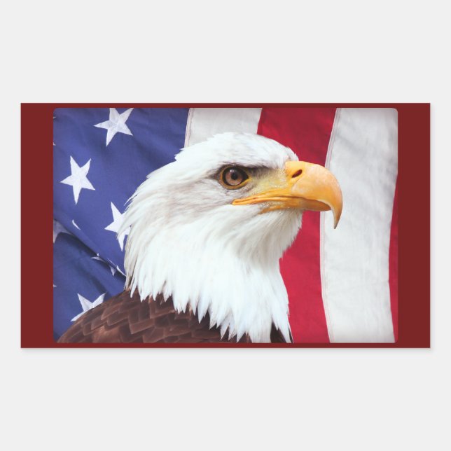Bald Eagle and American Flag Rectangular Sticker (Front)